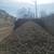 Rock,gravel, sand, or sawdust 1 thumbnail