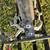 Schwinn Voyager 11.8 Road Bike 6 thumbnail