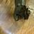 Vtg. Herbrand spark plug gapper 3 thumbnail