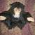 Cuddle Chimp 2 thumbnail