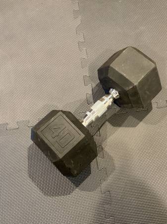 40 pound hex rubberized dumbbell 1
