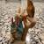 Beatrix Potter - Peter Rabbit Figurines (6) 5 thumbnail