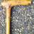 Pair of Vintage Burl Wooden Walking Canes 5 thumbnail