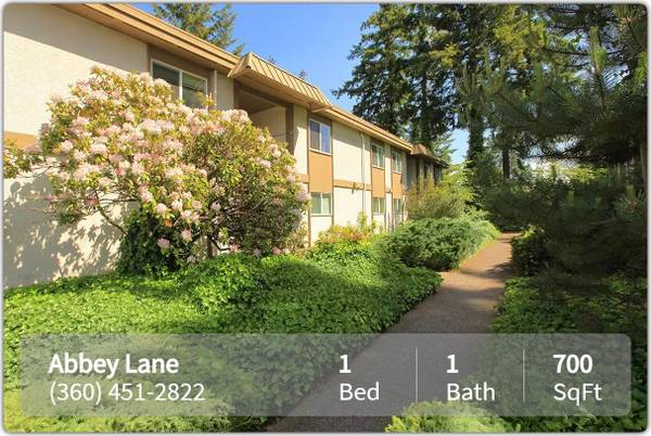 $1,450 / 1br - 700ft2 - Luxurious 1 bed / 1 bath with washer and dryer included (Olympia - Lions Park)63944961914883121