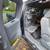2010 Tacoma Access Cab 15 thumbnail