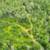 593 Acres in Bruce Crossing - MLS# 214266 1 thumbnail