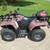 2008 Artic Cat ATV 6 thumbnail