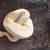 Ball Python 4 thumbnail