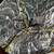 3 Flush Mount Ceiling Fixture Lights 7 thumbnail