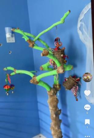A and e medium Java tree 1