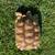 Adult Proven Sulcata Females & Male Tortoise++ 3 thumbnail