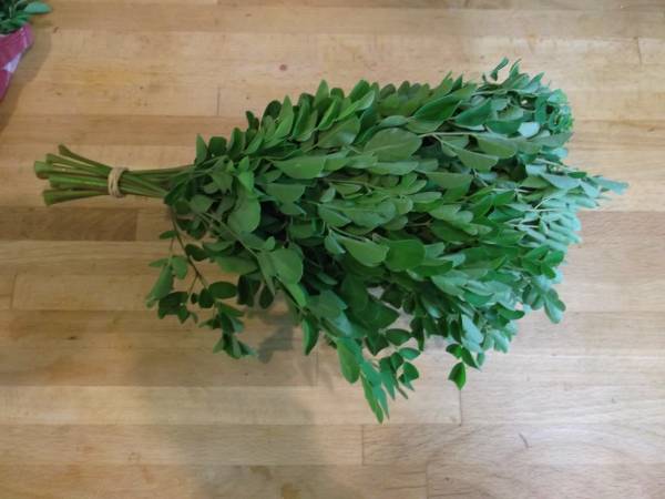 Organic Moringa: Fresh-picked leaves 1