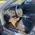 2015 Acura TLX V6 Advanced 10 thumbnail