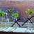 Plant Cutting's 10 thumbnail