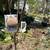 New plants i.e tomatoes cucumber peppers pumpkin lettuce cantaloupe pe 6 thumbnail