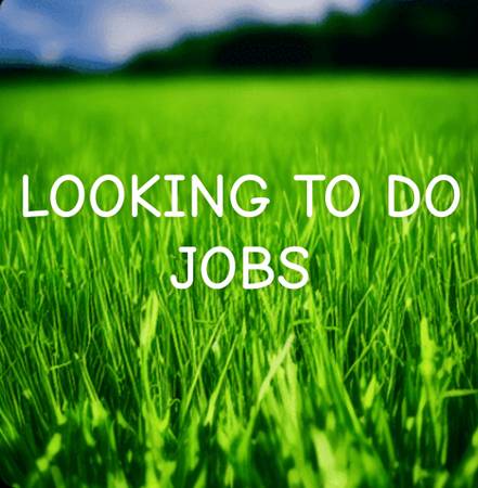 Looking to work 1