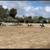 BARN, Newport Back Bay bdrm, studio, pvt bath, arena/trailer parking, 3 thumbnail