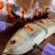 Handmade Custom Joint Bait Lures 13 thumbnail