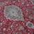 9'2X12'6 Handknotted Persian wool rug 8 thumbnail