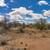 Diamond Bell Ranch 1.35 Acres Lot/Land  - $35,000 9 thumbnail