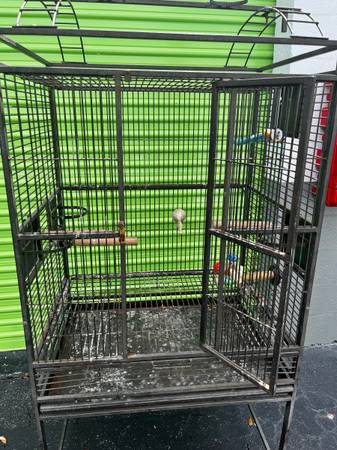 Jaula para pájaros (Hollywood)63685533171457123