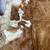 Large Authenic Cowhide Leather Rug 3 thumbnail