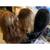 New and Used Wigs for Sale 2 thumbnail