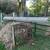 (1) wood 16' plank ...... 16' x12" 8 thumbnail
