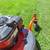 PUSH MOWER n one self-propelled 10 thumbnail