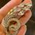 Collection of Vintage Signed Boucher Brooches 2 thumbnail