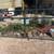 Gate 1 thumbnail