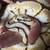 2 reptiles- killer Bee ball python and blue tounge skink 1 thumbnail