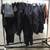 NEW WETSUIT DIVING WETSUITS SURFING BLACK FULL SPRING SHORTY 1 thumbnail