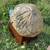 UND Fighting Sioux Logo CARVED IN Granite Sculpture! Signed! HEAVY! 2 thumbnail