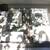 "_HP_ELITEDESK_800_G1_SFF_" ,,, 1 thumbnail