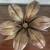 Vintage Mid Century Modern Brass Lily Flower Ashtray 3 thumbnail