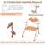 Foldable Shower Chair Folding Shower Seat Heavy Duty Bath Chair 6-Leve 2 thumbnail