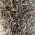 Square Bale Hay 2 thumbnail