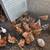 Gallinas ponedoras 4 thumbnail
