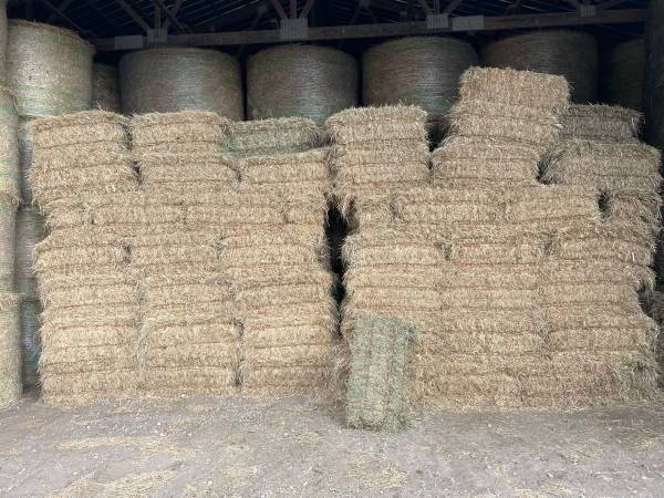 SMALL SQ--2nd CROP--HAY BALES 1