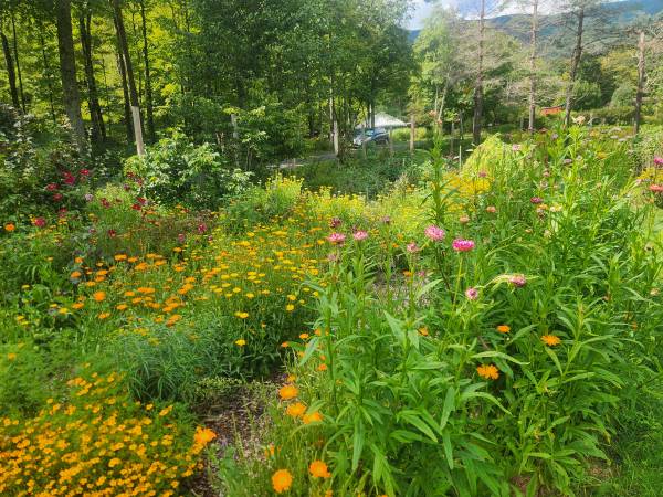 Farming chef seeking accommodations 1