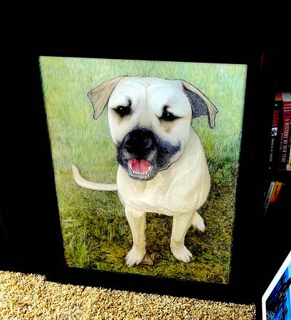 Retratos de mascotas (Urbandale)63671589209475120