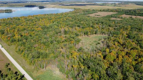 $199,900 20 Acres Prime HUNTING LAND near Richville MN (As Good As It Gets) (Richville)63990227383426120