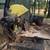 Chop Saw 2 thumbnail