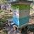 Bee Hive 1 thumbnail