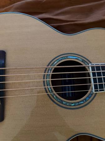 Ibanez 5 string acoustic/ electric bass 1