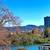 MASSIVE 1 bedroom CORNER UNIT with Lake Meritt VIEWS + HARDWOOD FLOORS 3 thumbnail