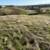 10 Acres AMAZING views Gilroy. Animal property. Duke Drive 15 thumbnail