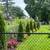 Jr landscaping and tree services 7 thumbnail