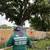 Antonio Tree Service Omaha 20 thumbnail